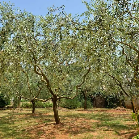 Σπίτι διακοπών Maredi With Pool