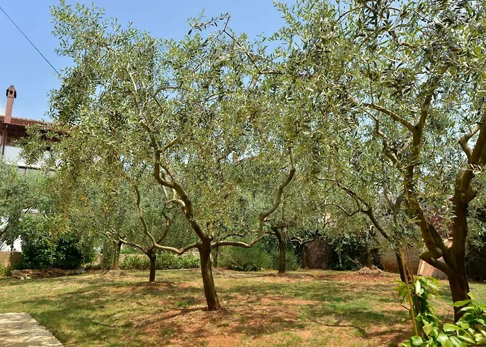 Nyaraló Maredi With Pool