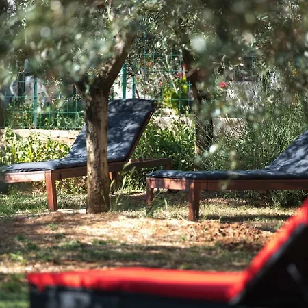 Holiday home Maredi With Pool Pula
